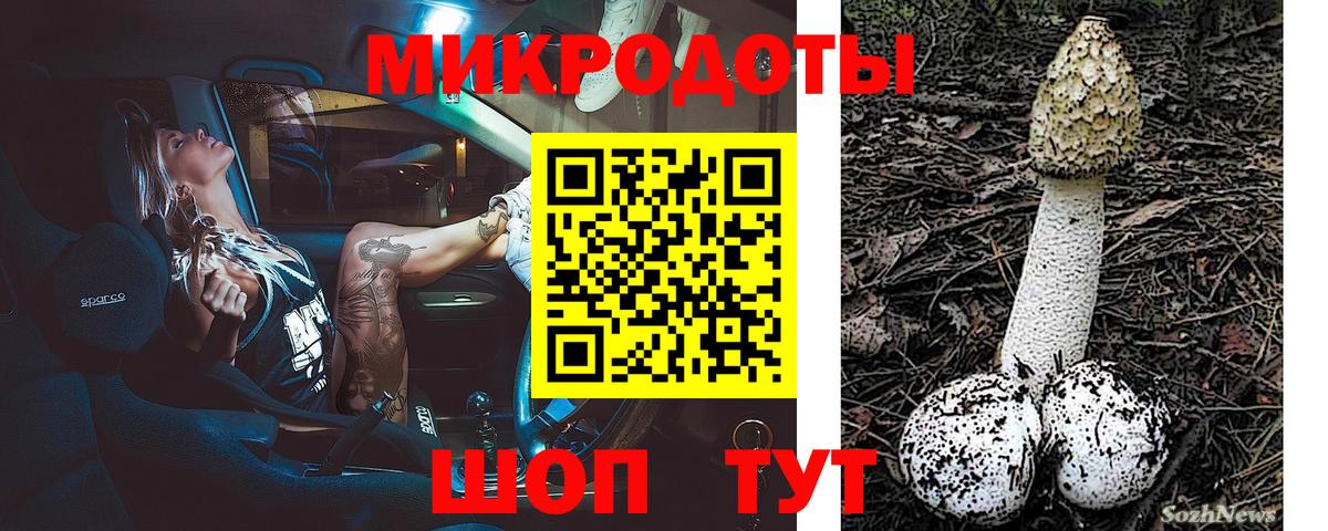 Волгодонск  Псилоцибиновые грибы GOLDEN TEACHER  Вход с VPN 